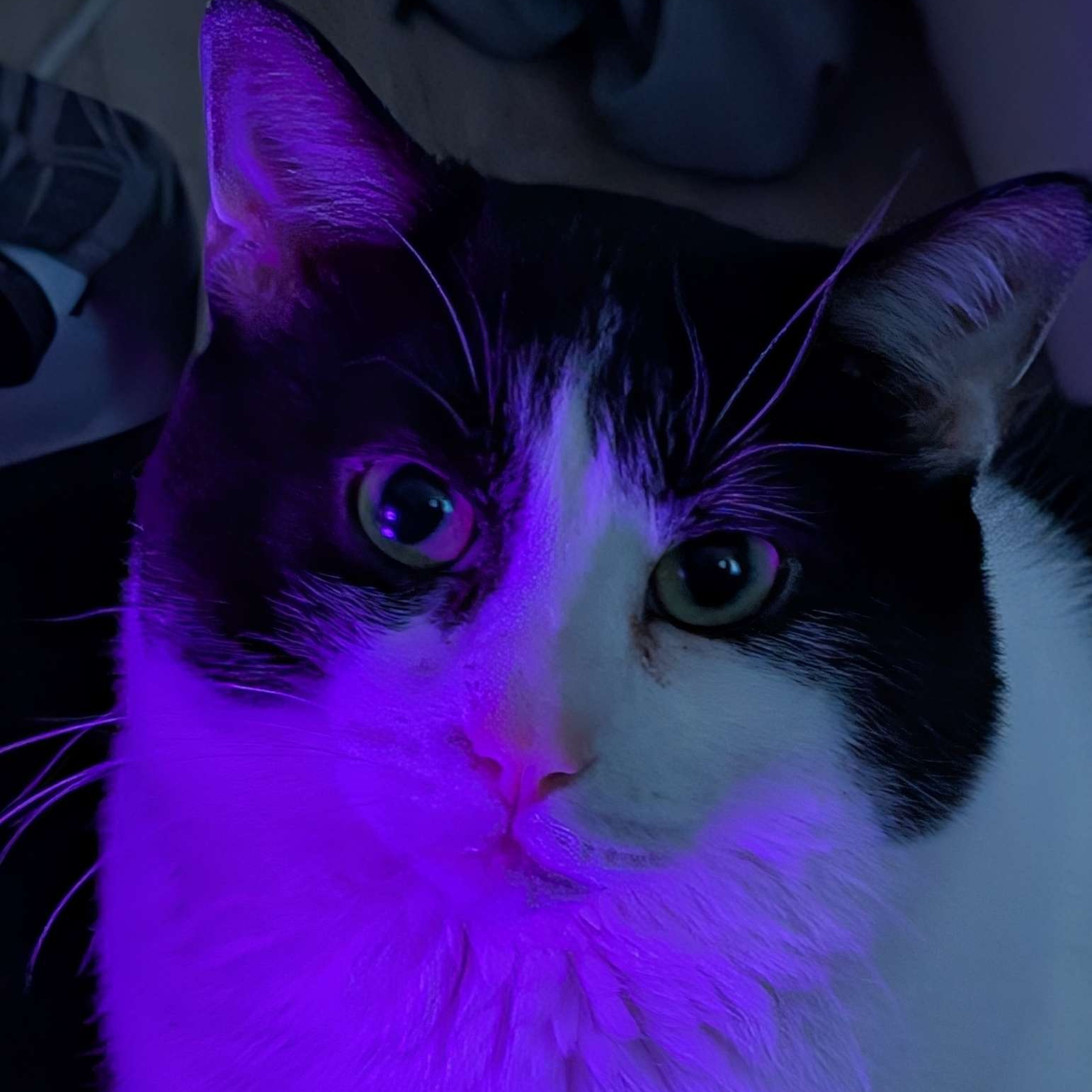 PFP